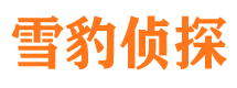 平乡私家侦探